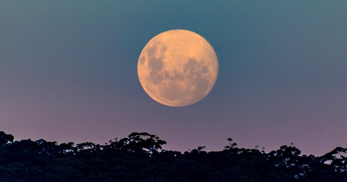 How to see the pink moon and blue giant star this weekend | News Tech