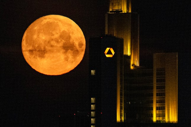 The spring's first full moon, also known as "Pink Moon", is seen behind the headquarters of Commerzbank bank in the banking district of Frankfurt am Main, western Germany on April 12, 2025. (Photo by Kirill KUDRYAVTSEV / AFP) (Photo by KIRILL KUDRYAVTSEV/AFP via Getty Images)