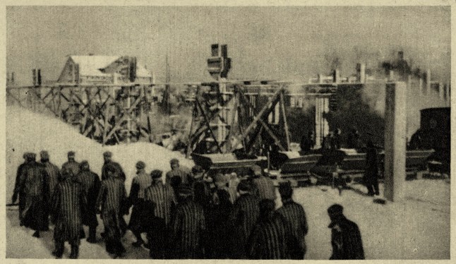Auschwitz concentration camp. Caption reads:'A 'Komando' unit going to work'. Prisoners being sent to work. Source: Museum of Oswiecim, Poland. Photos taken by guard or SS.