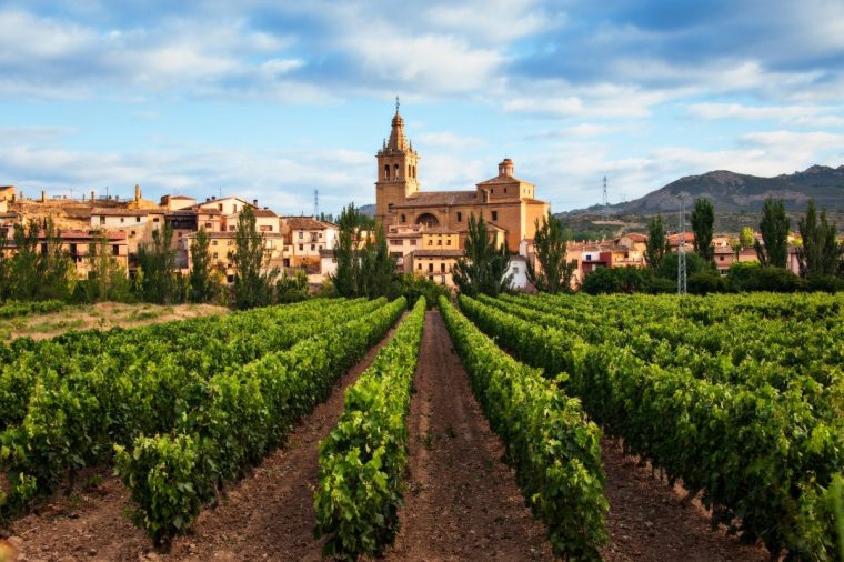 Bri??as es un municipio de la comunidad aut??noma de La Rioja situado en el noroeste de la provincia, entre la sierra del Tolo??o y en la margen izquierda del r??o Ebro. Pertenece a la comarca de Haro y se sit??a a orillas del Ebro. Bri??as en la actualidad conserva intacto su casco urbano, con casas de siller??a del siglo XVII y XVIII, su Iglesia de la Asunci??n del siglo XVI-XVII, que sustituy?? a la antigua Iglesia Rom??nica; tambi??n existe un humilladero que albergo un Cristo del XVII, y cuya dataci??n es dif??cil reconstruir por la sospecha que antes este lugar fuera utilizado en otros menesteres (posible enterramiento, al estar excavado en roca unos 60 cent??metros). Con todo ello, nos encontramos en Bri??as con un paraje natural, cargado de antig??edad e historia; donde la Cultura del Vino es el exponente m??s claro de la vida de esta villa. Bri??as is a municipality of the autonomous community of La Rioja located in the northwest of the province, between the mountains of Tolo??o and on the left bank of the Ebro River. It belongs to the region of Haro and is located on the banks of the Ebro. Bri??as currently preserves intact its urban center, with masonry houses of the seventeenth and eighteenth century, its Church of the Assumption of the XVI-XVII century, which replaced the old Romanesque Church; there is also a humilladero that sheltered a Christ of the XVII, and whose dating is difficult to reconstruct for the suspicion that before this place was used in other necessities (possible burial, to be excavated in rock about 60 centimeters). We are in Bri??as with a natural place, full of antiquity and history; where the Culture of Wine is the clearest exponent of the life of this town.