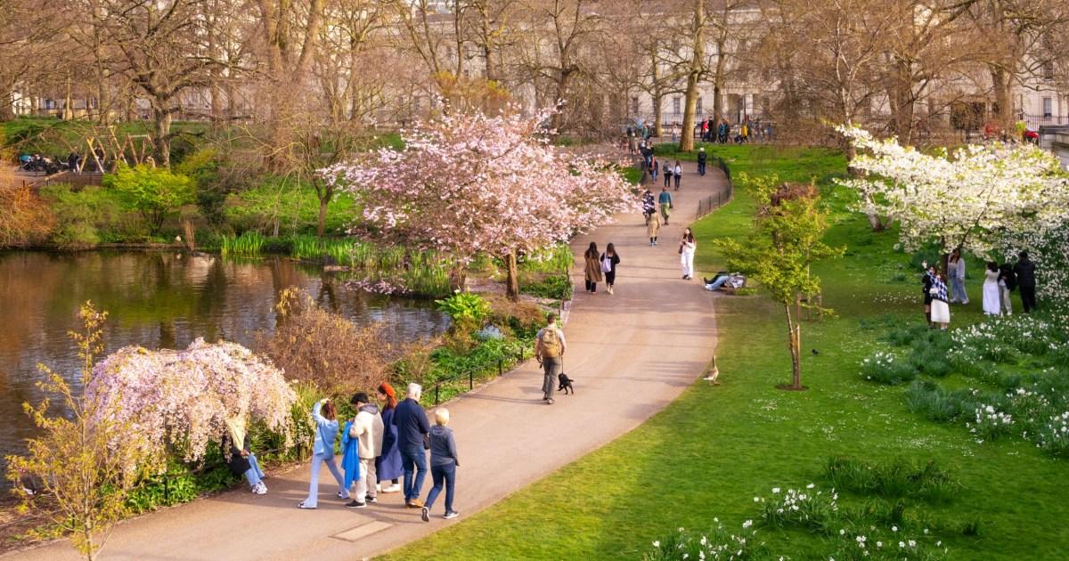 Chinese spies are 'bugging London's pubs and park benches' | News UK