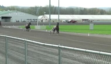 Tioga Downs Casino saddling up for its first live race of the season