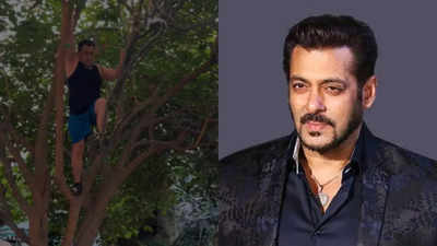 Salman Khan leaves the internet stunned as he displays his agility by climbing a tree, shuts down trolls commenting on his fitness post 'Sikandar' release - WATCH VIDEO