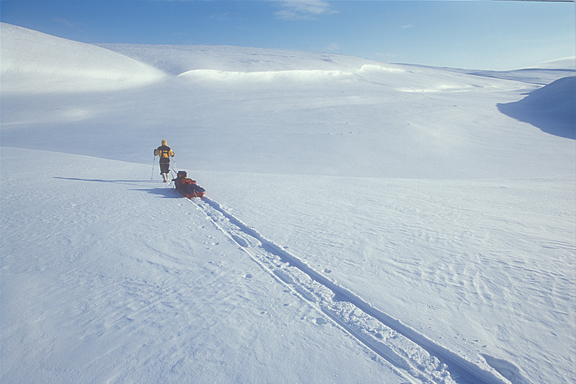 sledder in white arctic