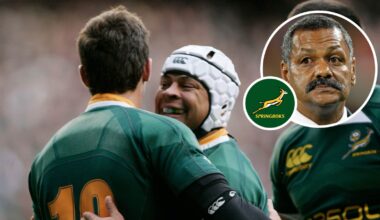 Ex-Springboks coach: 'We messed up Ruan Pienaar in this country' : Planet Rugby