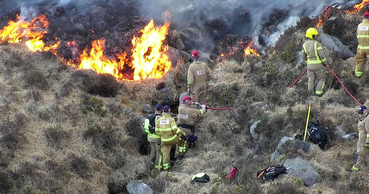 Almost 300 wildfires tackled in Northern Ireland in one week – The Irish News