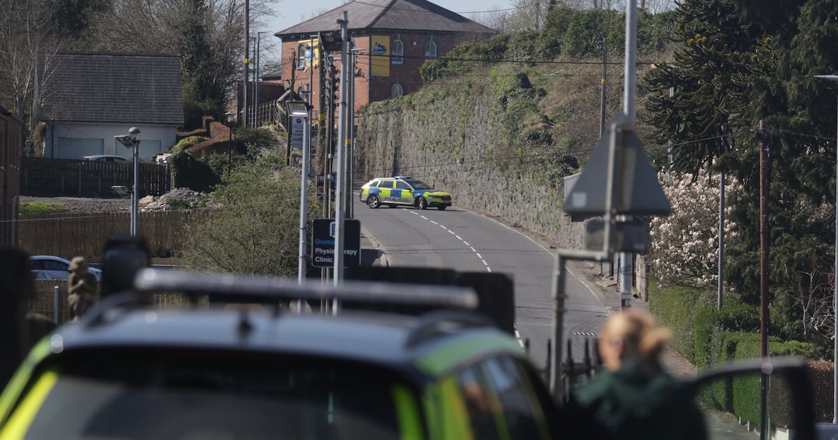 Woman arrested after pipe bombs found in Co Down – The Irish News