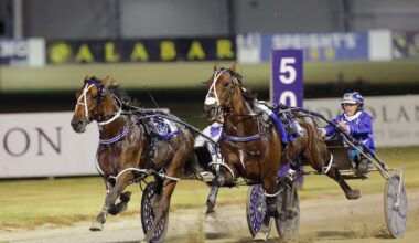 Horse racing: Kiwi pacer chases dream all the way to Queensland