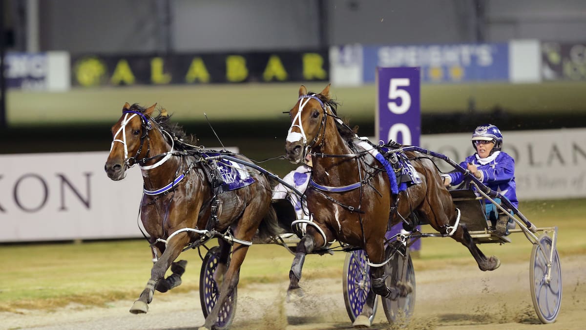 Horse racing: Kiwi pacer chases dream all the way to Queensland
