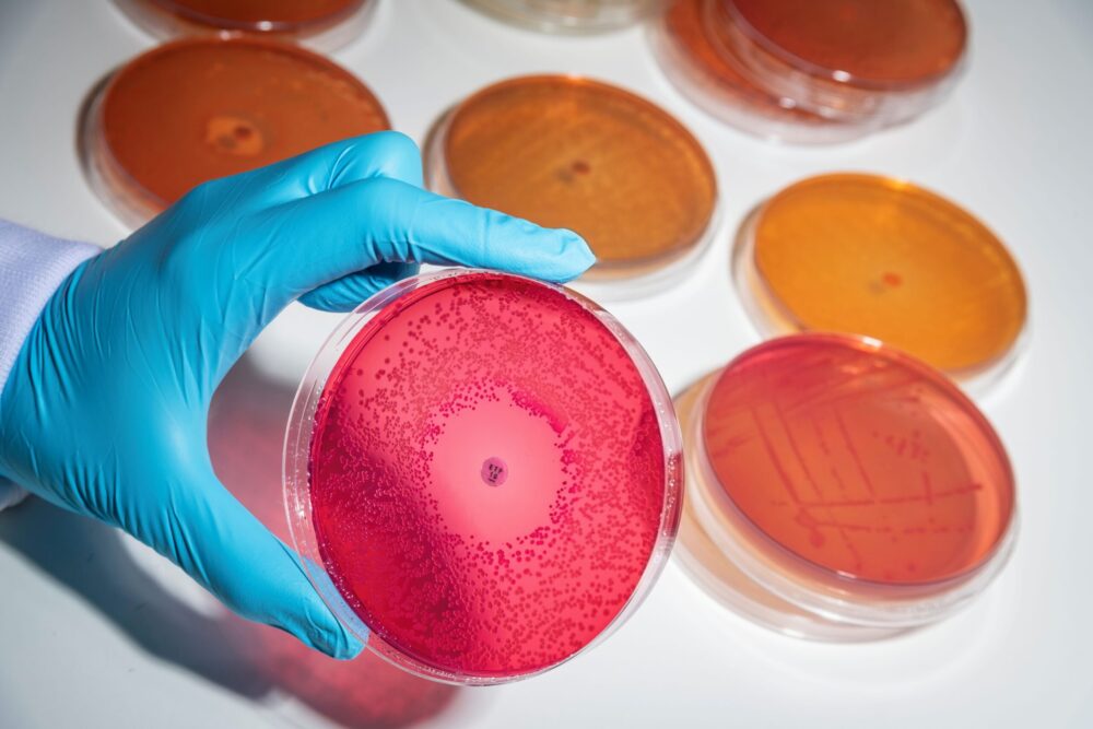 Liverpool set to become global leader in cutting-edge microbiome research with new innovation hub