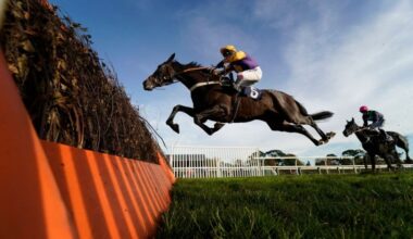 Darlac Richard Johnson Fontwell RacesOctober 24, 2018