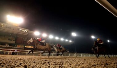 Wolverhampton races