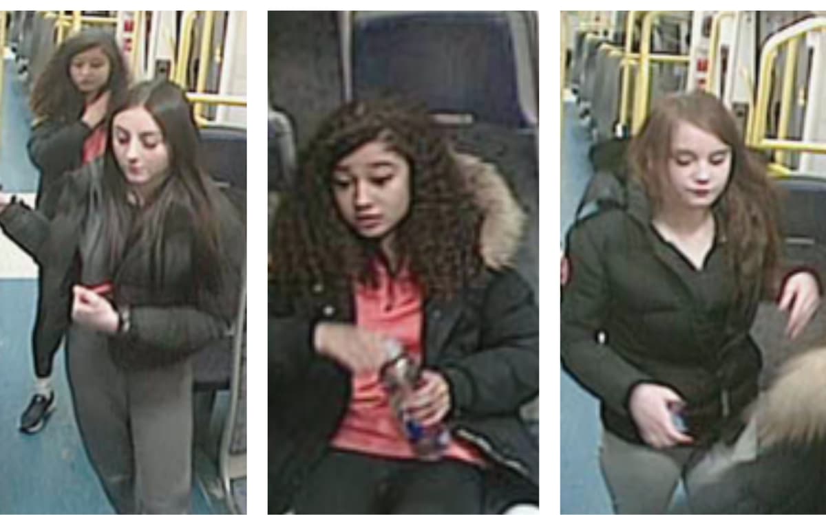 Transport police CCTV appeal after 'pensioner assaulted' by girls on train - London Evening Standard
