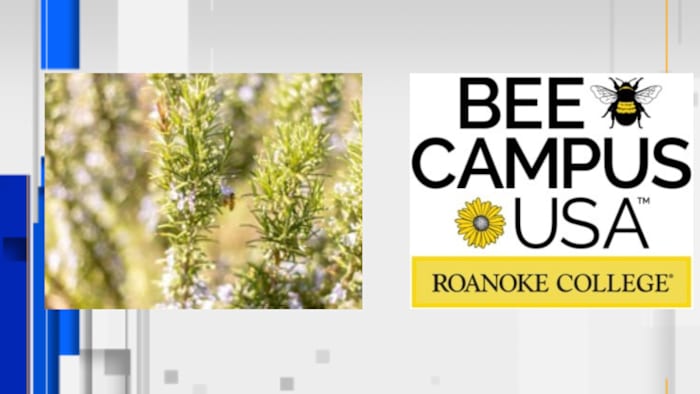 Roanoke College earns Bee Campus USA certification