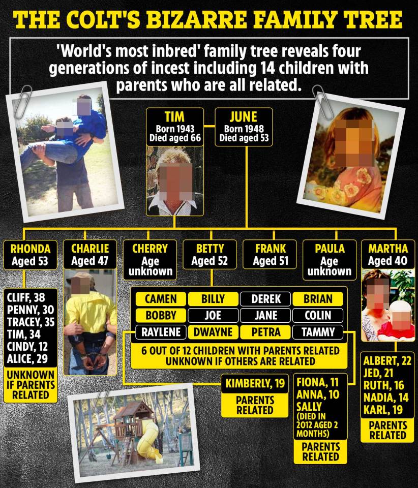 Illustration of a family tree showing four generations of incest, including 14 children with related parents.