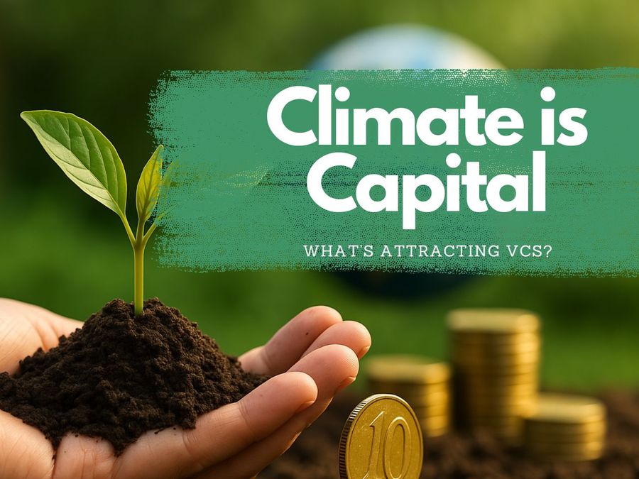 Why VCs are Betting Big on Sustainable Startups in India