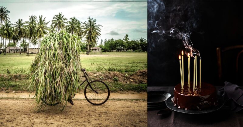 On the left, a person is nearly hidden by a huge load of grass they are carrying while pushing a bicycle; on the right, a chocolate cake with five tall, lit candles emits smoke in a dark setting.