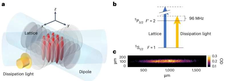 A new dissipation-based method to probe quantum correlations
