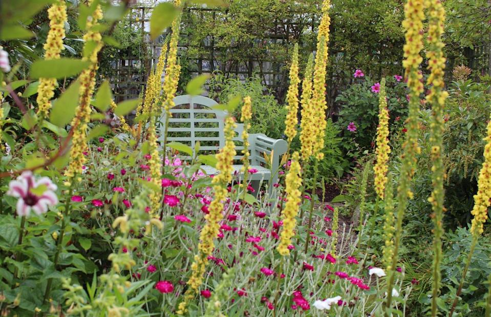 <p>National Garden Scheme</p>