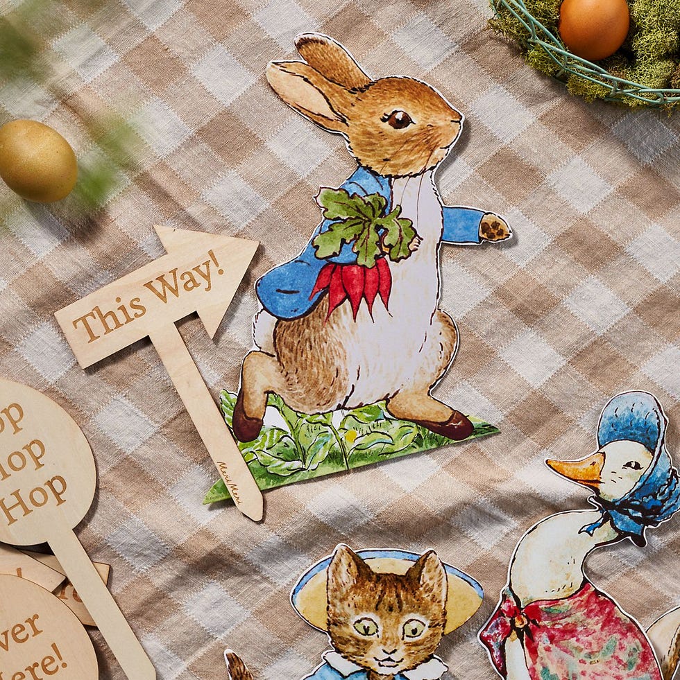Peter Rabbit Egg Hunt Kit