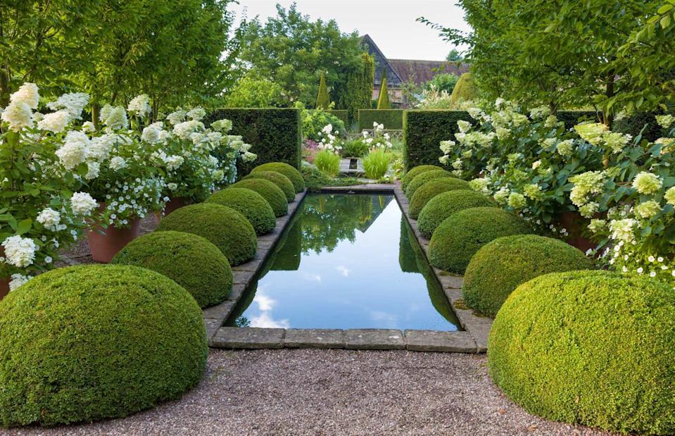 <p>Joe Wainwright Photography/National Garden Scheme</p>