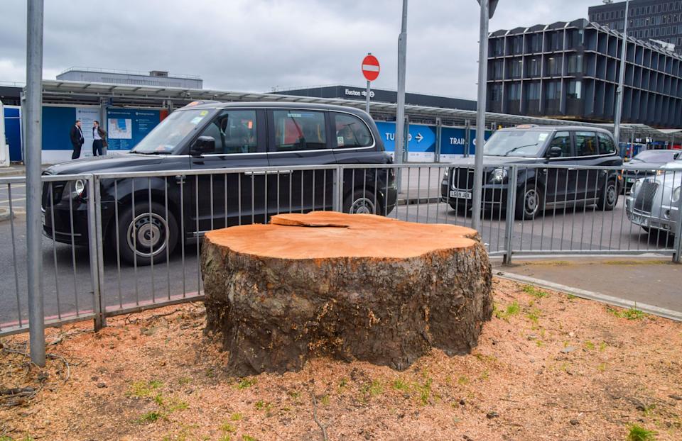 London, UK. 28th February 2023. Most trees, some of them very old, around the taxi rank at Euston Station have been cut down, as HS2 building works continue. In addition to the controversial High Speed 2 railway, the station will see extensive refurbishment works over the next decade. Credit: Vuk Valcic/Alamy Live News