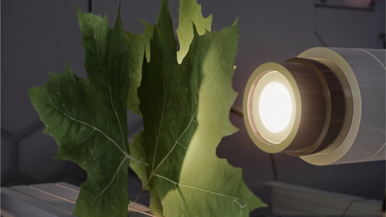 High-Level Realism: Cinematic Rendering Powered by Real-Time Path Tracing - Image 2 of 13