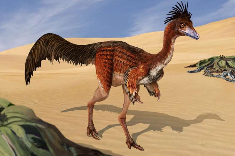 Air pockets found in bones of alvarezsauridae skeleton for first time