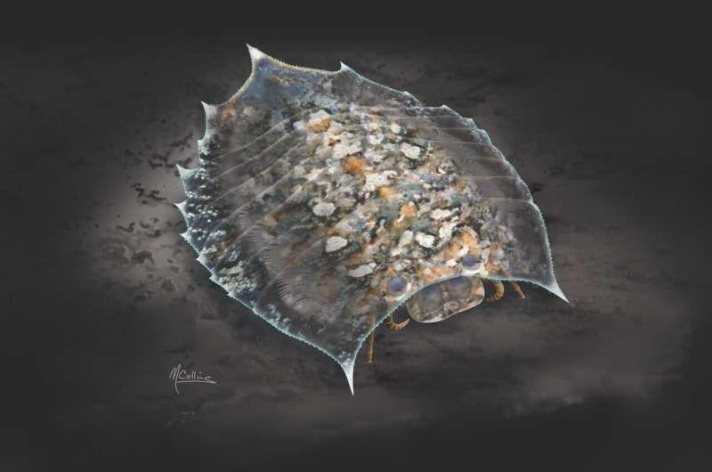 Ancient fossil sheds big light on evolution mystery: Solving a 100-year arthropod mystery