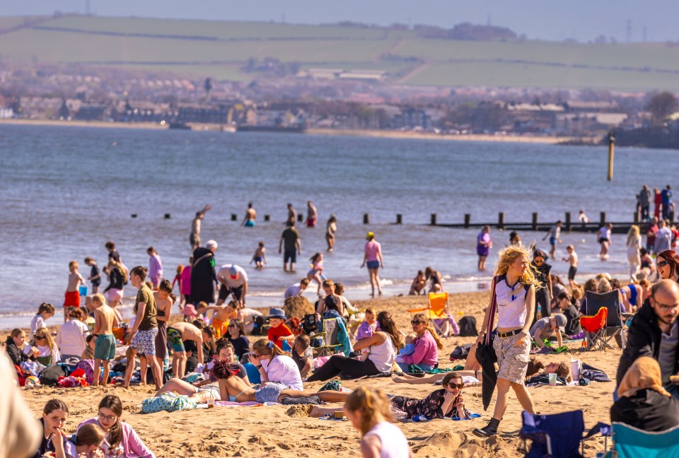 Crowded beach on a sunny day.