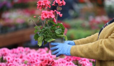 Post-Brexit rules makes buying plants ‘impossible’ in Northern Ireland, MPs say