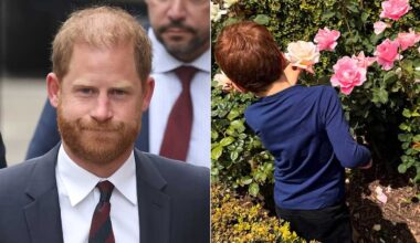 Prince Harry forced to spend time apart from Prince Archie on 6th birthday