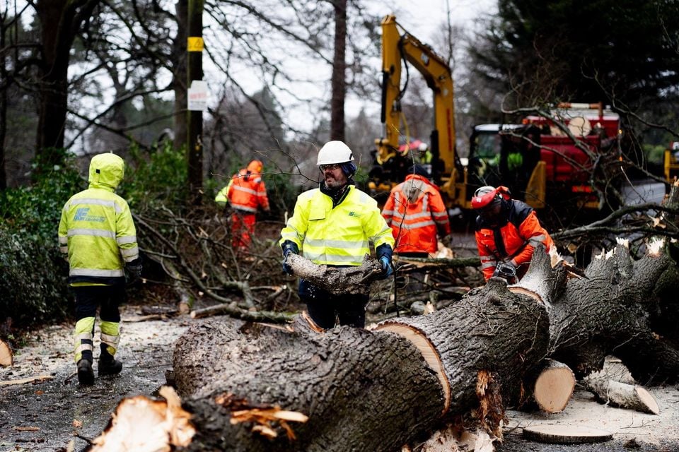 Storm Eowyn caused extensive damage throughout NI. Credit: NIE Networks