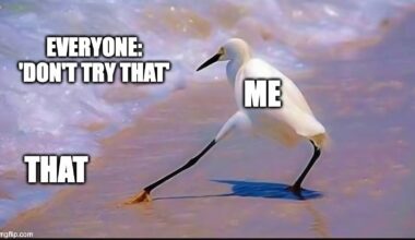 best of the razzle dazzle bird meme