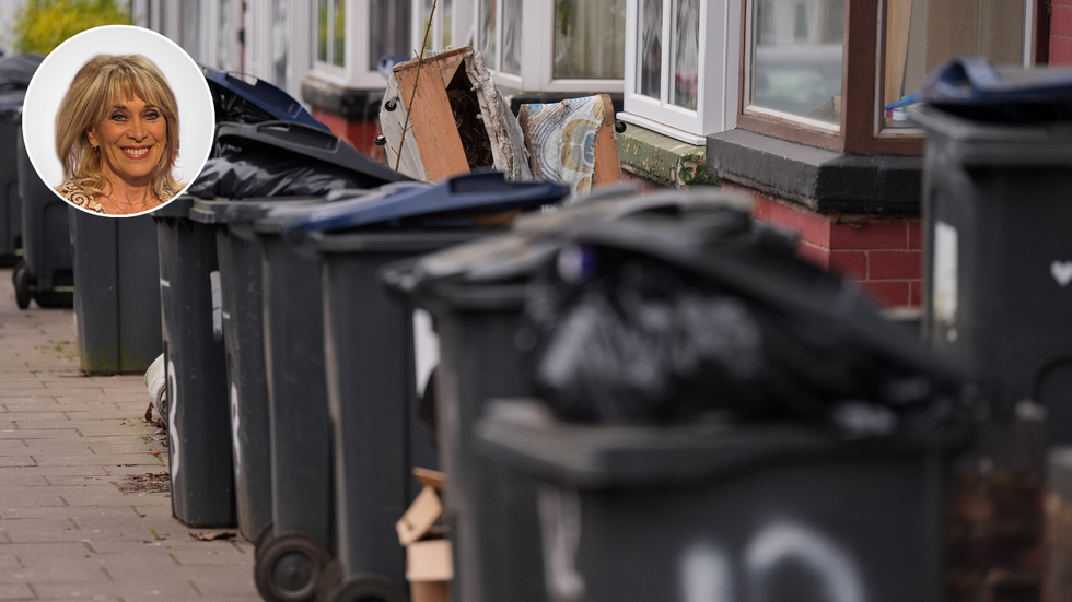 Birmingham city bins