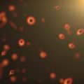 black hole supermazes