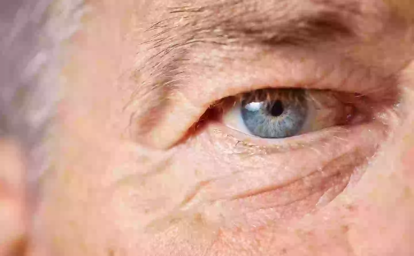 Everyone with blue eyes has the same genetic mutation and therefore, the same common ancestor (Getty Stock Image)