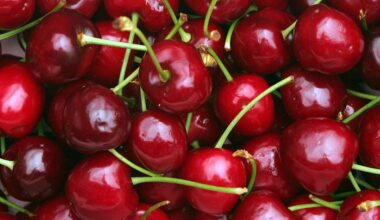 8 Health Benefits Of Cherries, According To Nutritionists
