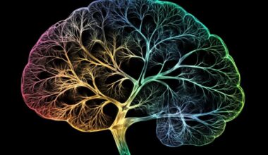 Neuroscience News logo for mobile.