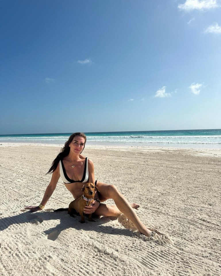 Brooke Shields on a beach in a bikini with her dog.