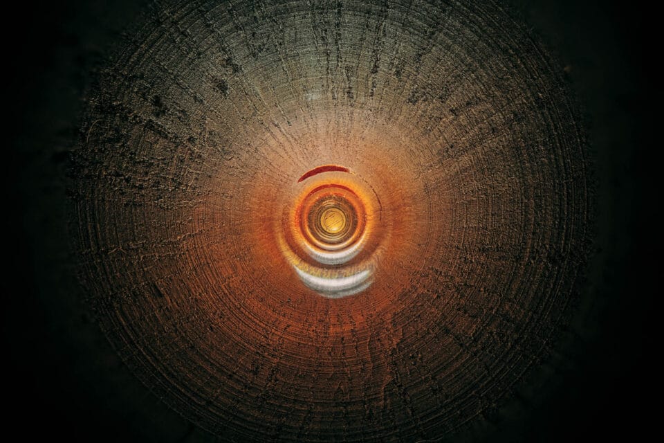 the interior of a Larilee Elkhart Oboe