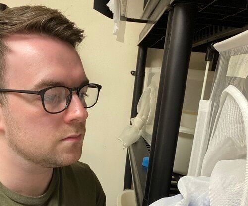 Bug expert Jay Hutchison of APS Biocontrol examining insect specimens.