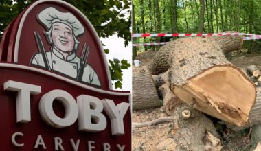 What we know as Toby Carvery cuts down centuries-old tree in London