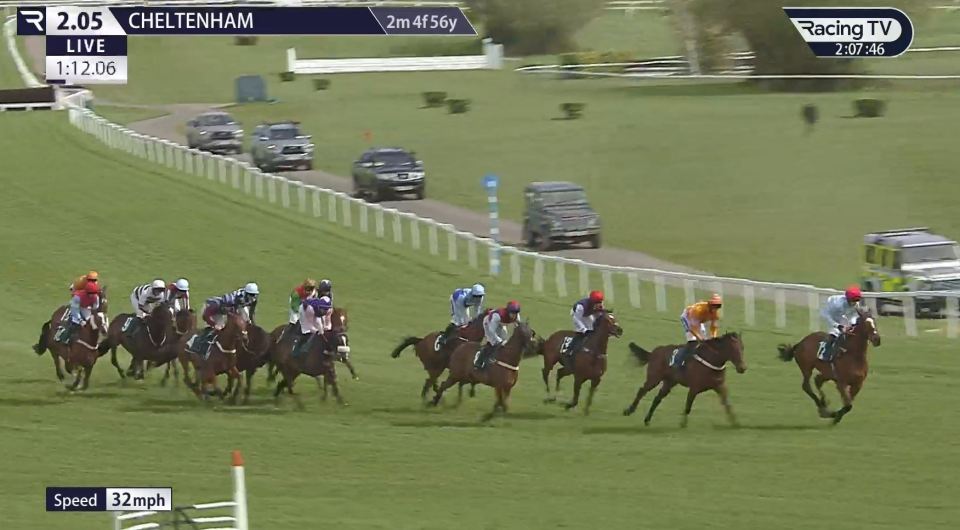 Cheltenham horse race.