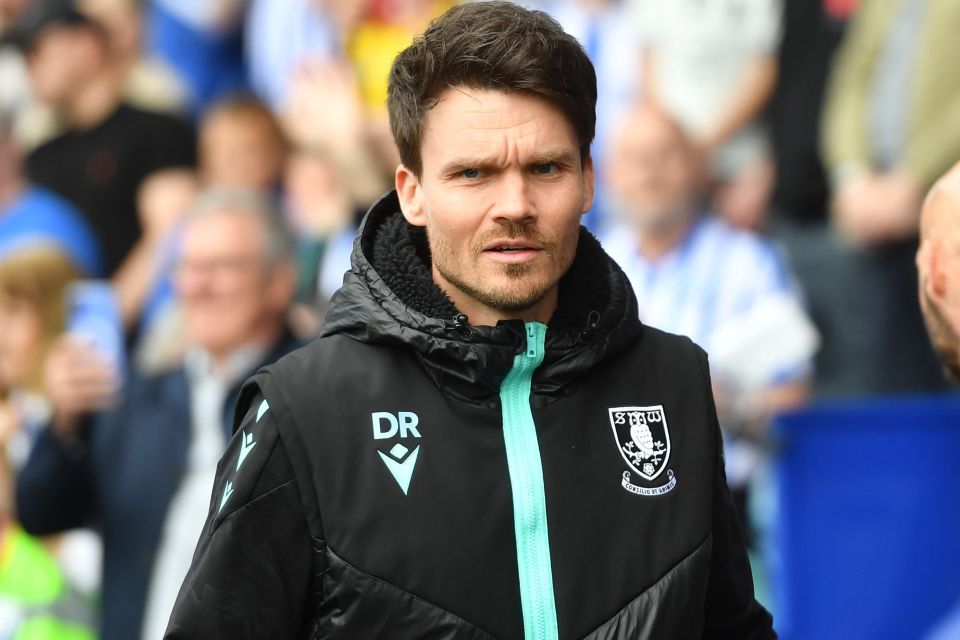 Danny Rohl, Sheffield Wednesday manager.