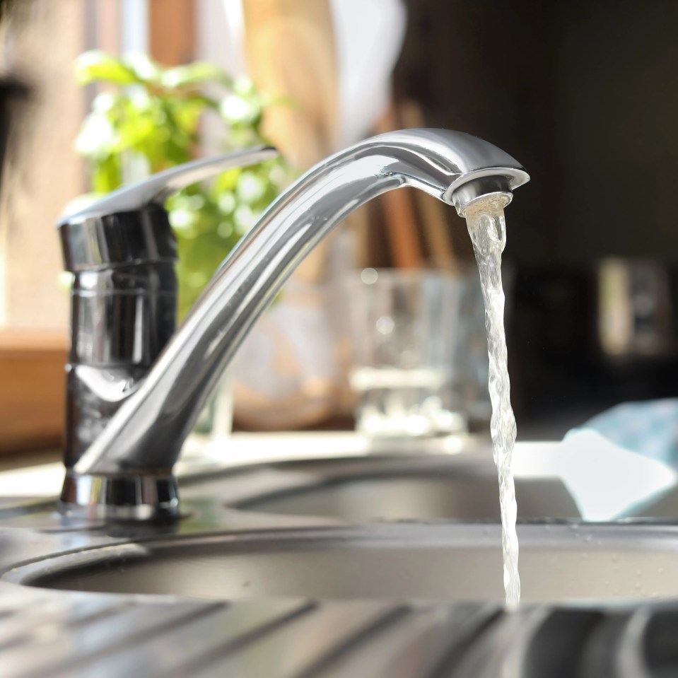 Water running from a kitchen faucet into a sink.