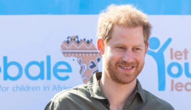 Prince Harry’s used to courtiers doing everything for him - it’s no wonder charity blew up, claims expert