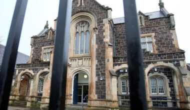 Malvina Teglas: Woman accused of attacking man with ‘large wooden stick’ in NI town