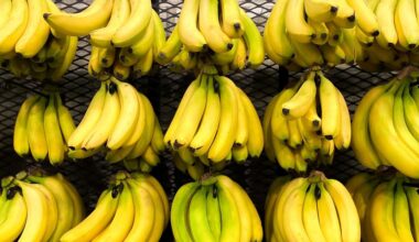 How healthy is it to eat bananas every day? Experts weigh in