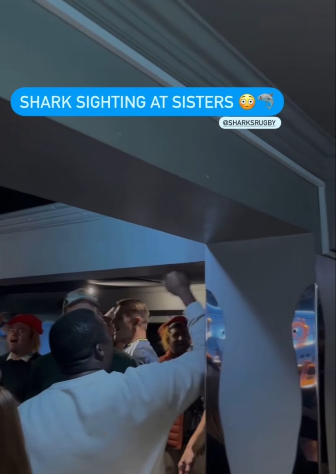 Shark sighting at Sisters.
